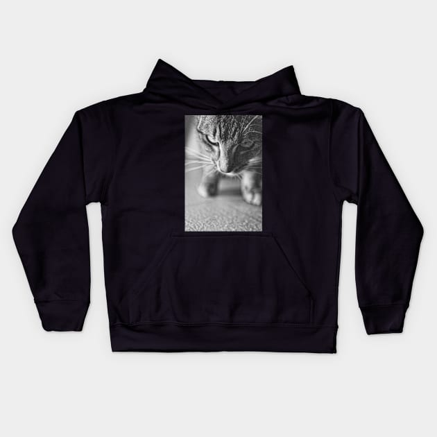 Time to pounce Kids Hoodie by Lhollowaydesign